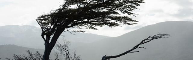 Gde se kriju vrba kojoj gromovi ništa ne mogu, i muški i ženski izvori čija se voda "koristi za ljubav"?