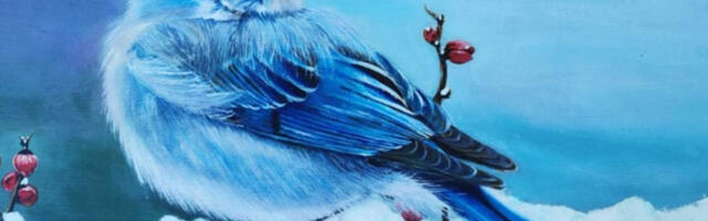 ​Изложба „У часу пре чуда” на Авалском торњу