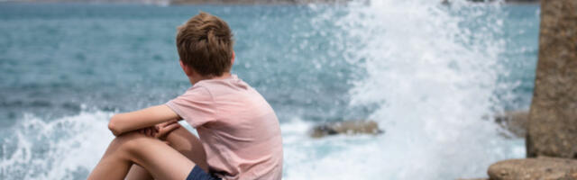 Видова правда