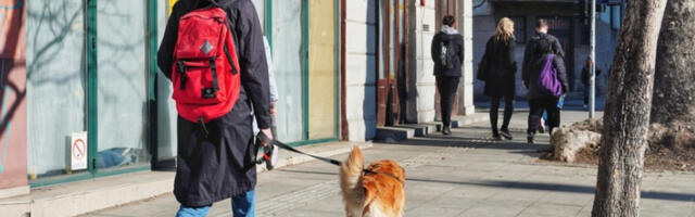 Сутра топло и сунчано