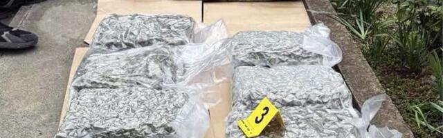 PAO DILER SA 19 KILOGRAMA MARIHUANE! Velika zaplena u Kikindi, uhapšen muškarac (28)