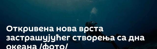 Откривена нова врста застрашујућег створења са дна океана /фото/
