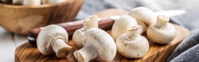 Perete šampinjone pre kuvanja? VELIKA GREŠKA