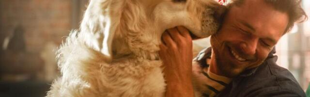 Zašto se treba zaljubiti u osobu koja voli pse?