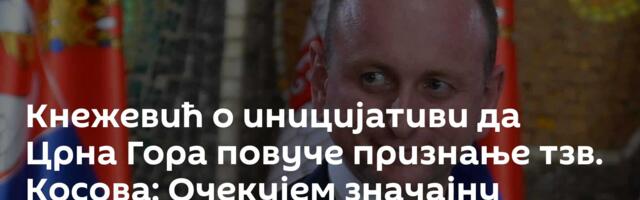 Кнежевић о иницијативи да Црна Гора повуче признање тзв. Косова: Очекујем значајну подршку
