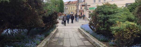 MITROVICA ULAGANJEM OD 1,6 MILIJARDI MENJA KLJUČNE ULICE! Svetog Dimitrija dobija biciklističke staze, parking i potpuno novi izgled