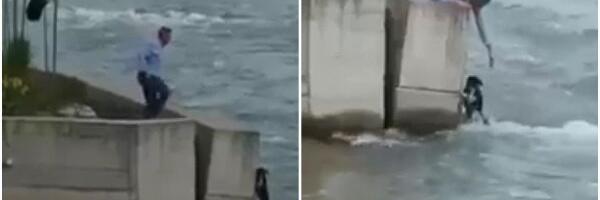 Izašao sa svadbe da spasi psa iz nabujalog Lima (VIDEO)