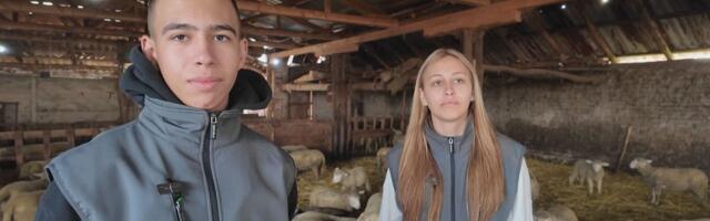 Teodor i Željana iz Vračevog Gaja najmlađi su domaćini u Srbiji: Ustaju u pola sedam da obrade 500 grla stoke