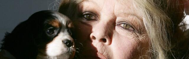 Petar Peca Popović povodom odlaska Brižit Bardo: Video sam Parižanku u Parizu