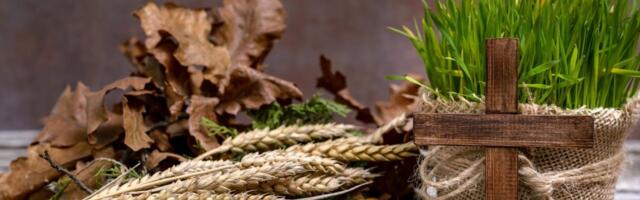 Kreću neradni dani: Evo koliko ćete odmarati za Božićne praznike