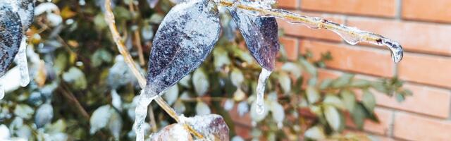Hladni talas zahvatio Srbiju, temperature i do minus 15 stepeni
