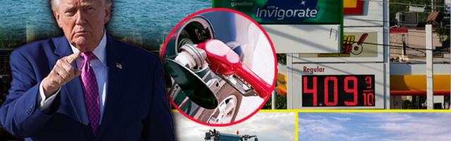 Tramp pozdravlja odluku UAE o napuštanju OPEK - to bi moglo da znači samo jedno