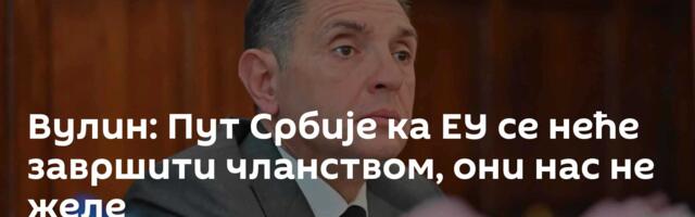 Вулин: Пут Србије ка ЕУ се неће завршити чланством, они нас не желе