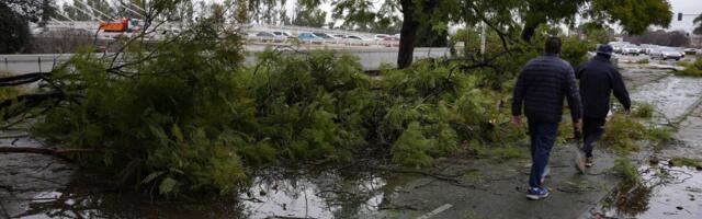 Izbegnuta tragedija u srpskoj tvrđavi: Velika grana pala među posetioce, deca bila u blizini