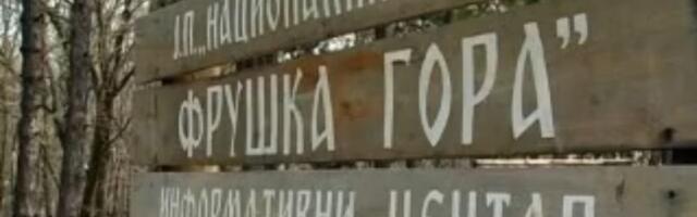 Seča na Fruškoj gori tik uz zaštićenu zonu: Planski i legalno