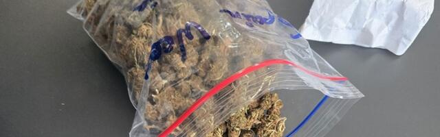 Vozila pod dejstrvom kokaina: U kući joj nađena velika količina marihuane