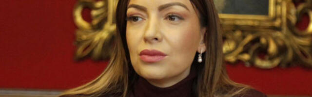 Месаровићева одржала састанке са представницима амбасада