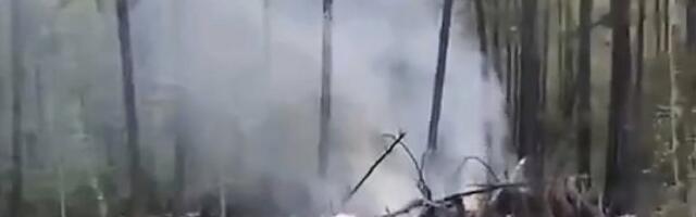 PAO AVION, ZNA SE I KO JE POGINUO U NJEMU: Po dolasku vatrogasaca, letelica je već bila u plamenu (FOTO)