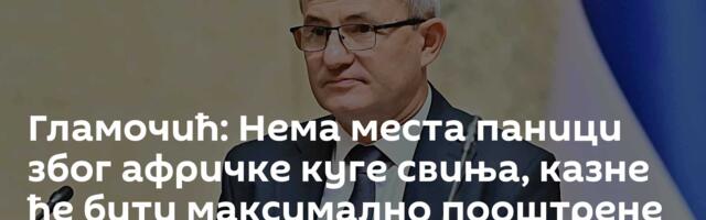 Гламочић: Нема места паници због афричке куге свиња, казне ће бити максимално пооштрене