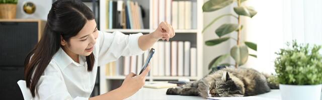 U ovoj japanskoj firmi živi i "radi" 11 mačaka, a ljubav prema njima USLOV je za DOBIJANJE POSLA