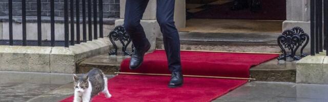 (FOTO/VIDEO) U Londonu za malo karambol: Predsednik Poljske došao u bitnu posetu - A onda je izletela mačka...