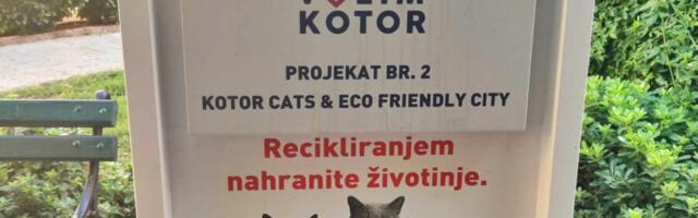 Ovo su mogle biti i niške mačke i psi, ali se „neko“ pobrinuo da reciklomati odu dalje