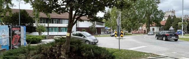 Šok scena na ulicama srpskog grada! Nesvakidašnja životinja se slobodno kreće, građani zabrinuti