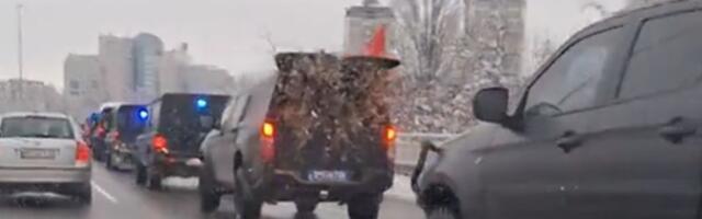 VIDEO: Novosadska Žandarmerija pod rotacijama - prevozi badnjak