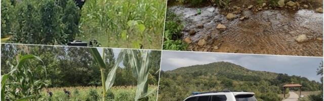 NISU RAZGOVARALI 40 GODINA, SREO GA NA MEĐI I UBIO! Detalji užasa kod Svrljiga gde je Ljubisav ubio komšiju Jovana - "Bavio se magijom i HIPNOZOM..."