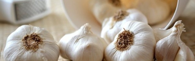BACAMO JE U SMEĆE, A NI NE SLUTIMO DA JE ZDRAVIJA OD BELOG LUKA! Čuva srce i snižava holesterol, ali to NIJE SVE