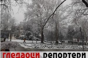 Гледаоци репортери (31. јануар 2023)