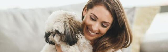 Još uvek nemate ljubimca jer živite u malom stanu? To ne mora da bude prepreka