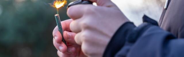 "Tradicionalno" bacanje petardi i druga pirotehnika svake godine ubiju hiljade životinja