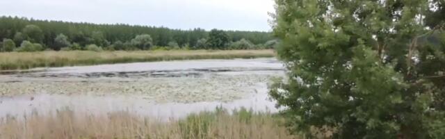 Наставља се са процедурама за заштиту природних вредности баре Реве