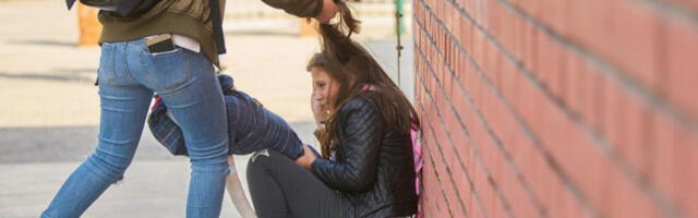 DEVOJČICU (15) TERALE DA KLEČI I DA IM SE IZVINJAVA! Jezivo vršnjačko nasilje kod Novog Sada - Maloletnice ŠAMARALE učenicu, drug sve snimao!