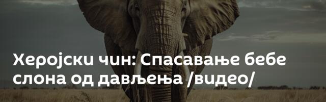 Херојски чин: Спасавање бебе слона од дављења /видео/