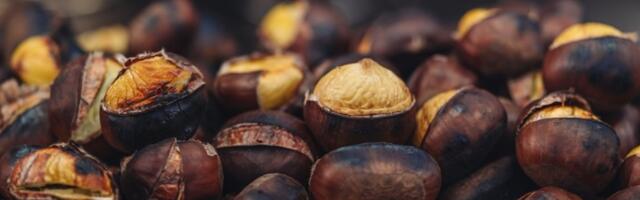 Kad čujete zašto su naše bake stavljale KESTENJE NA PROZORE, odmah ćete i vi uraditi isto: Desiće se nešto NEVEROVATNO