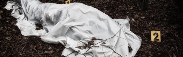 Horor: Telo muškarca pronađeno na obali Save