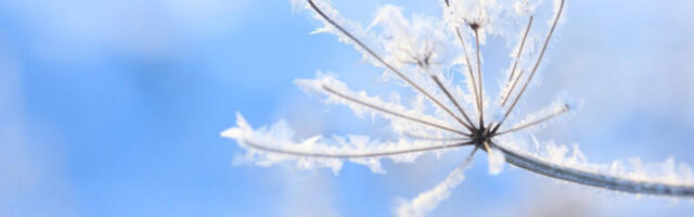 Da li će biti prave zime u decembru? Čubrilo dao prognozu, evo kada dolazi do promene vremena