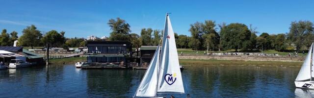 KAD SE PRIRODA ČUVA SRCEM: Fondacija Mozzart tokom prethodne godine brojnim akcijama ispisala zeleni trag