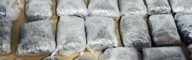 Policija upala u kuću kod Sopota i našla laboratoriju marihuane