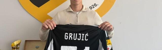 Igrao za mlađe kategorije Partizana i Zvezde, pa potpisao za Čukarički