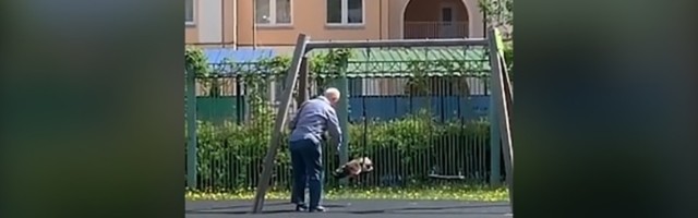 Izveo mačku u park i stavio je na ljuljašku (VIDEO)
