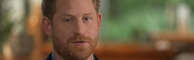 Al Kaida pozvala na ubistvo princa Harija