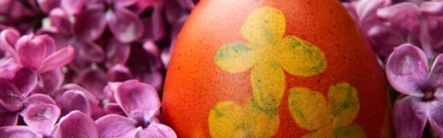 Svaka kuća na Uskrs treba da miriše na OVAJ cvet: Prema verovanju, BLAGOSLOVILA GA sama BOGORODICA - donosi MIR I SREĆU