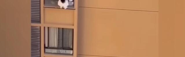 VISILA SA 10. SPRATA ZGRADE! Ljubavnica pokušala da pobegne jer je švaleru stigla žena, zamalo da premine! (VIDEO)