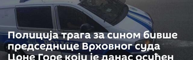 Полиција трага за сином бивше председнице Врховног суда Црне Горе који је данас осуђен на 10 година