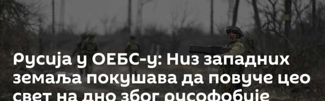 Русија у ОЕБС-у: Низ западних земаља покушава да повуче цео свет на дно због русофобије