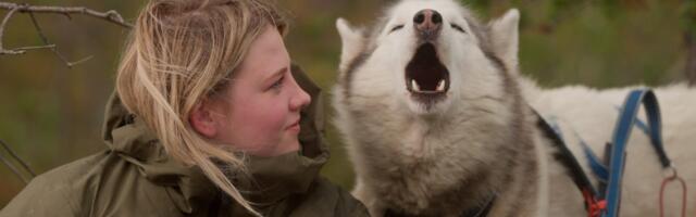Granice suživota: Čovek i životinje u savremenom dokumentarnom filmu
