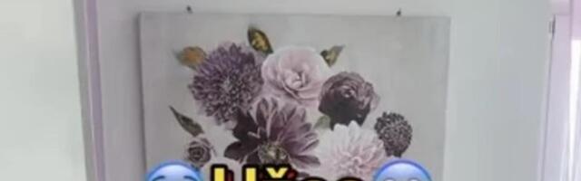 "Verovatno su gosti iz Bosne": Pogledajte samo šta su ostavili iza sebe, gazdarica se ŠOKIRALA (VIDEO)